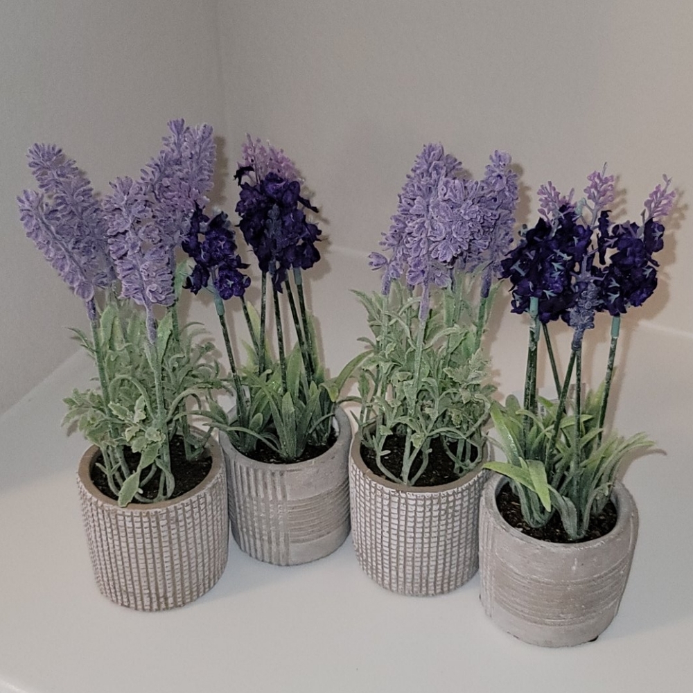 Faux Lavender plants